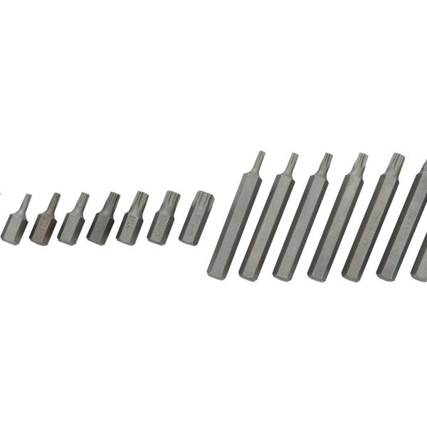 BLUESPOT TOOLS TORX Bit Set, 15 Piece