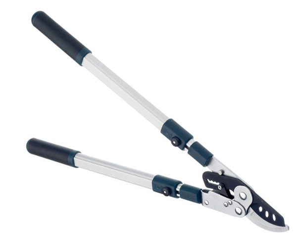 BULLDOG BD3113TW Evergreen Extending Bypass Loppers