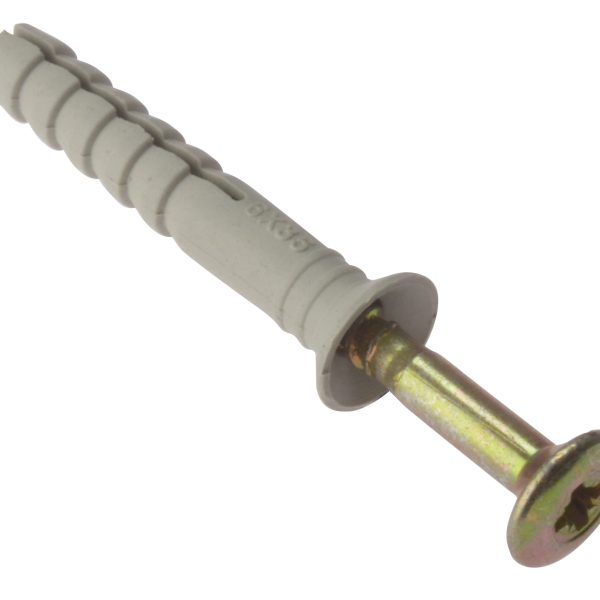 FORGEFIX Hammer Fixing & Plug M8 x 100mm Bag 10