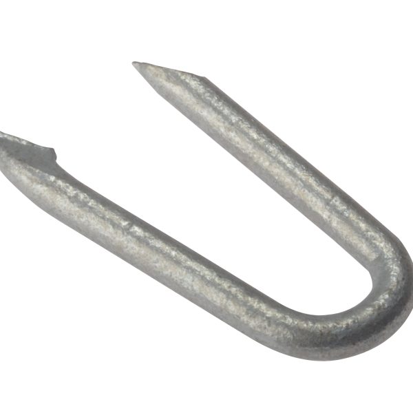 FORGEFIX Netting Staple Galvanised 20mm Bag Weight 250g