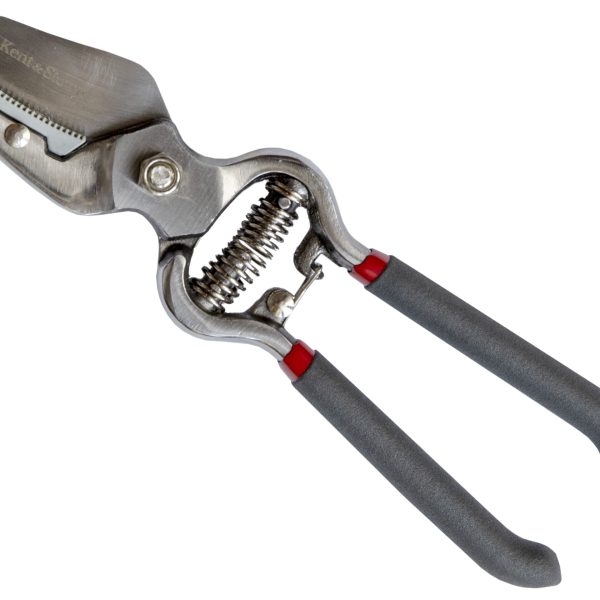 KENT & STOWE Traditional Anvil Secateurs