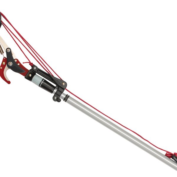 KENT & STOWE Telescopic Tree Pruner 3m