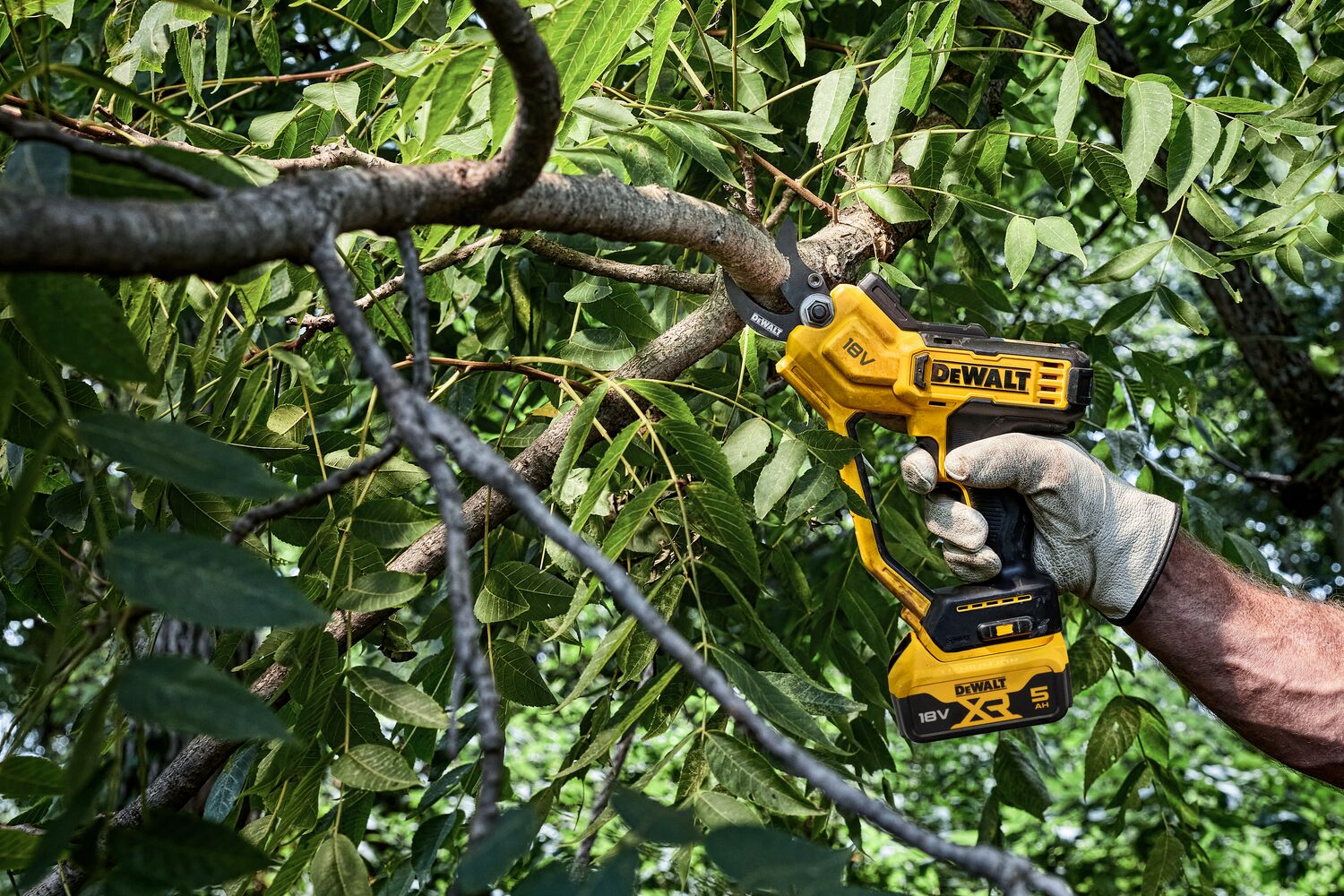 DEWALT DCMPP568N-XJ 18V XR Powered Pruner - Bare Unit - Image 4